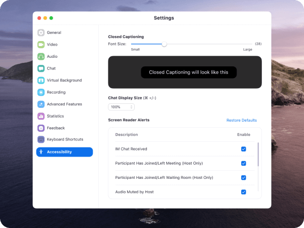 Screenshot of Zoom Accessibility Settings